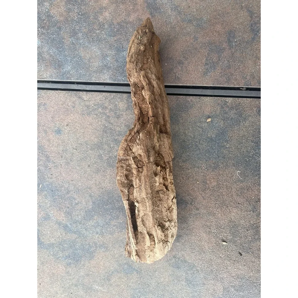 Natural Driftwood for Plants Terrarium Taxidermy Art Projects